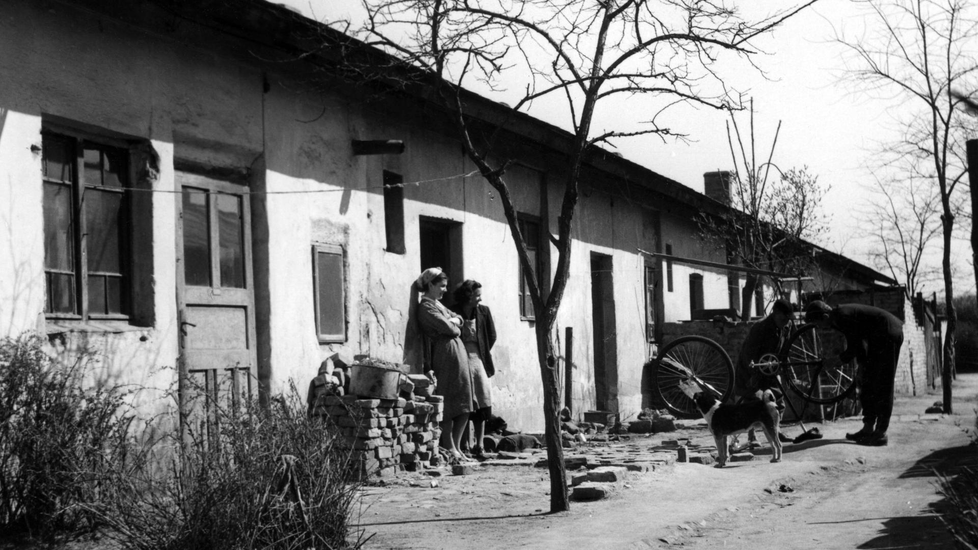 A Mária Valéria telep nyomornegyede állt a mai panelházak helyén (1957)